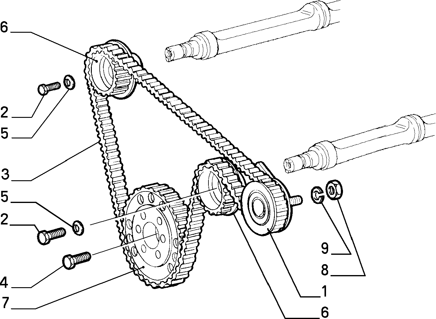 Lancia 60812384 - Spriegotājrullītis, Gāzu sadales mehānisma piedziņas siksna ps1.lv