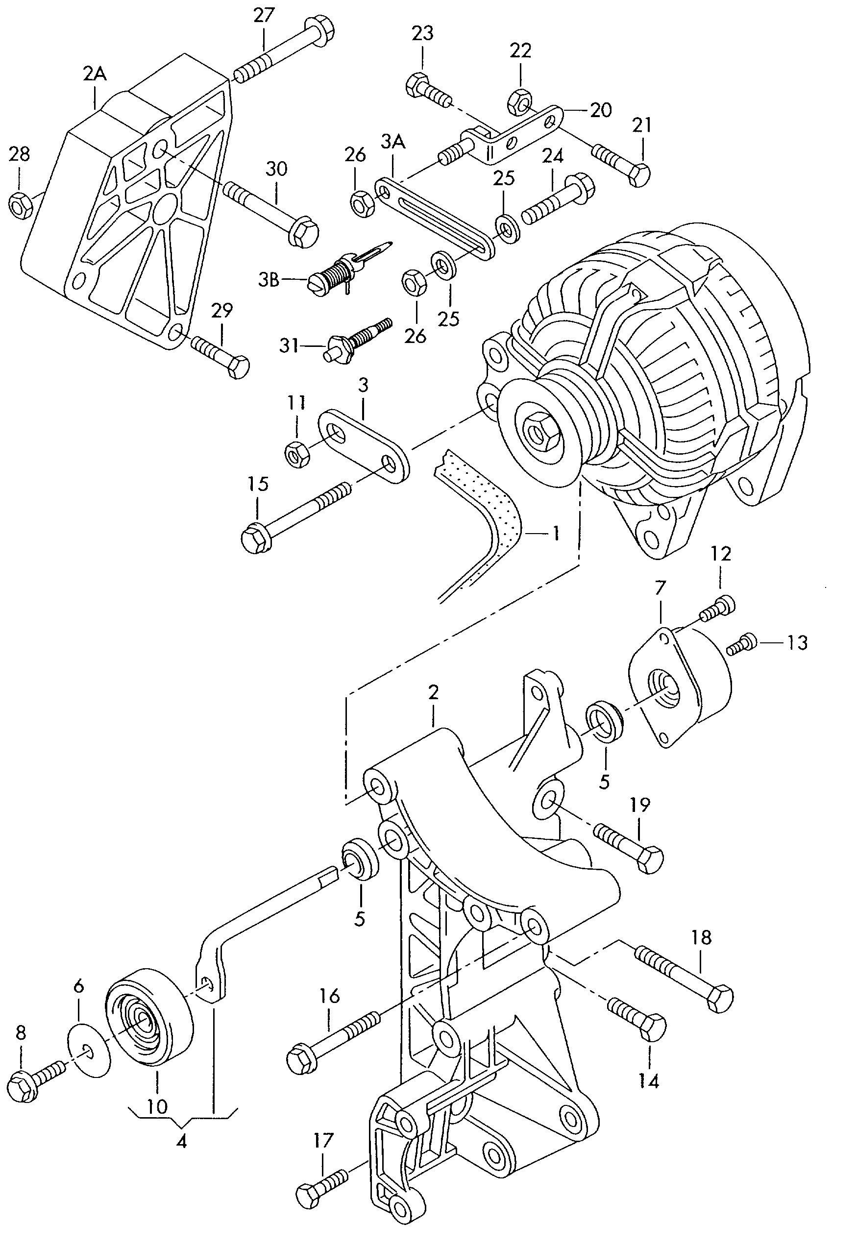 VW 028 145 278 M - Parazīt / Vadrullītis, Ķīļrievu siksna ps1.lv