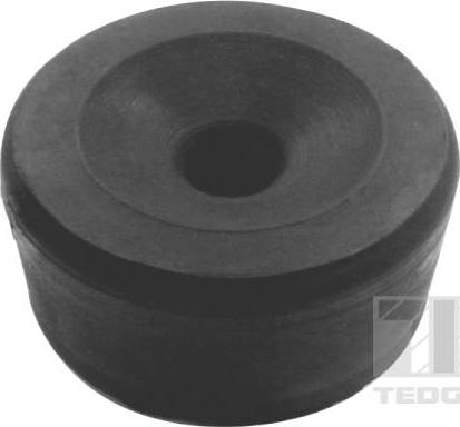 Tedgum 00376204 - Опора, рама автомобиля ps1.lv