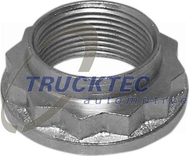 TRUCKTEC 08.32.053 - Гайка оси, приводной вал ps1.lv
