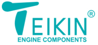 Teikin